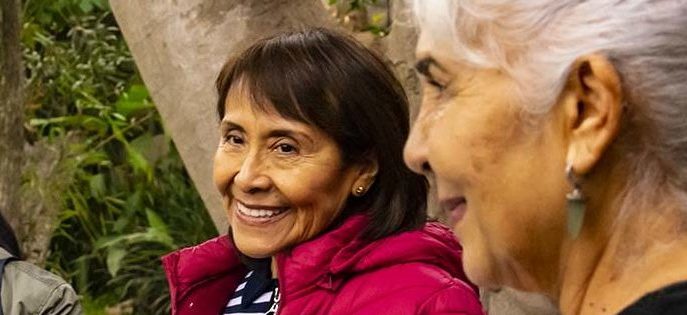 Constelaciones Familiares y Terapia Sistémica en Lima - Alfredo Cuadros Laos